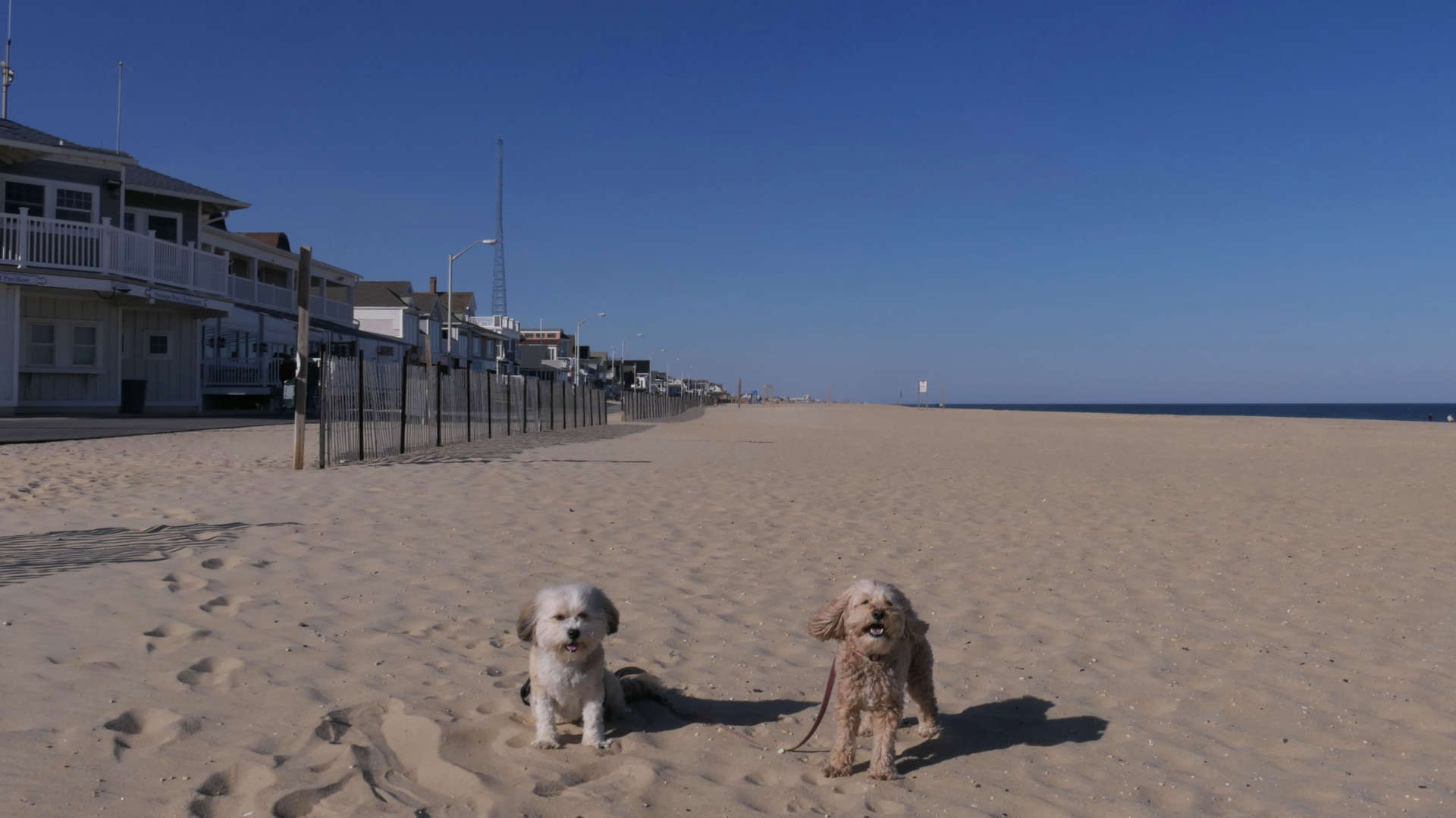 Manasquan3