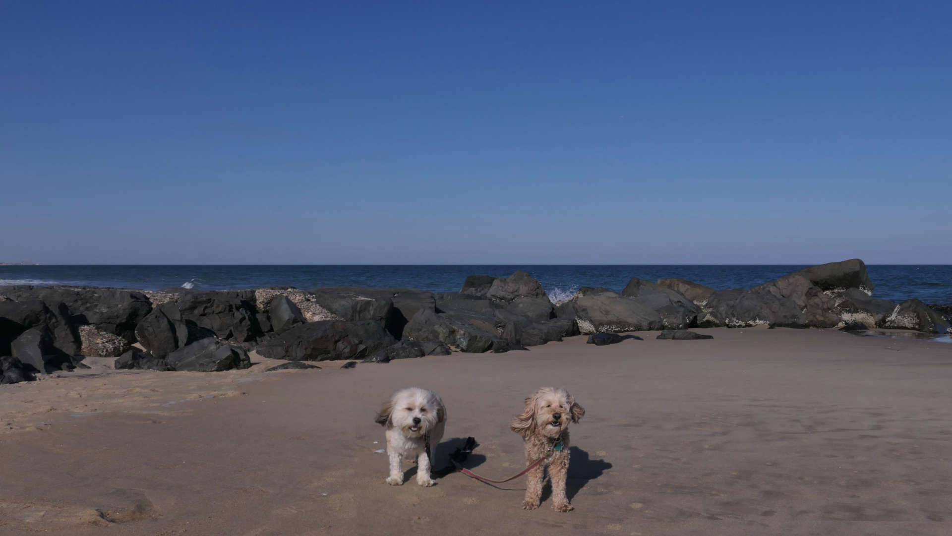 Manasquan5