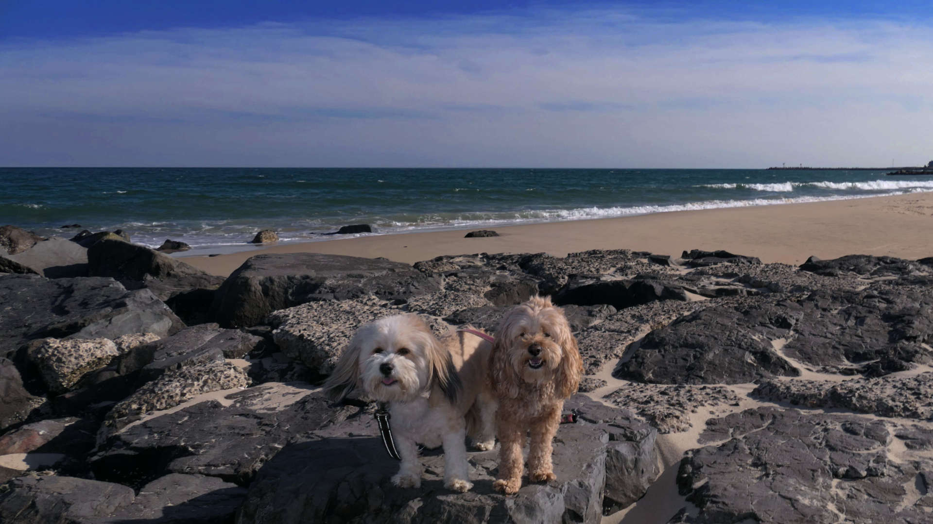 Manasquan6