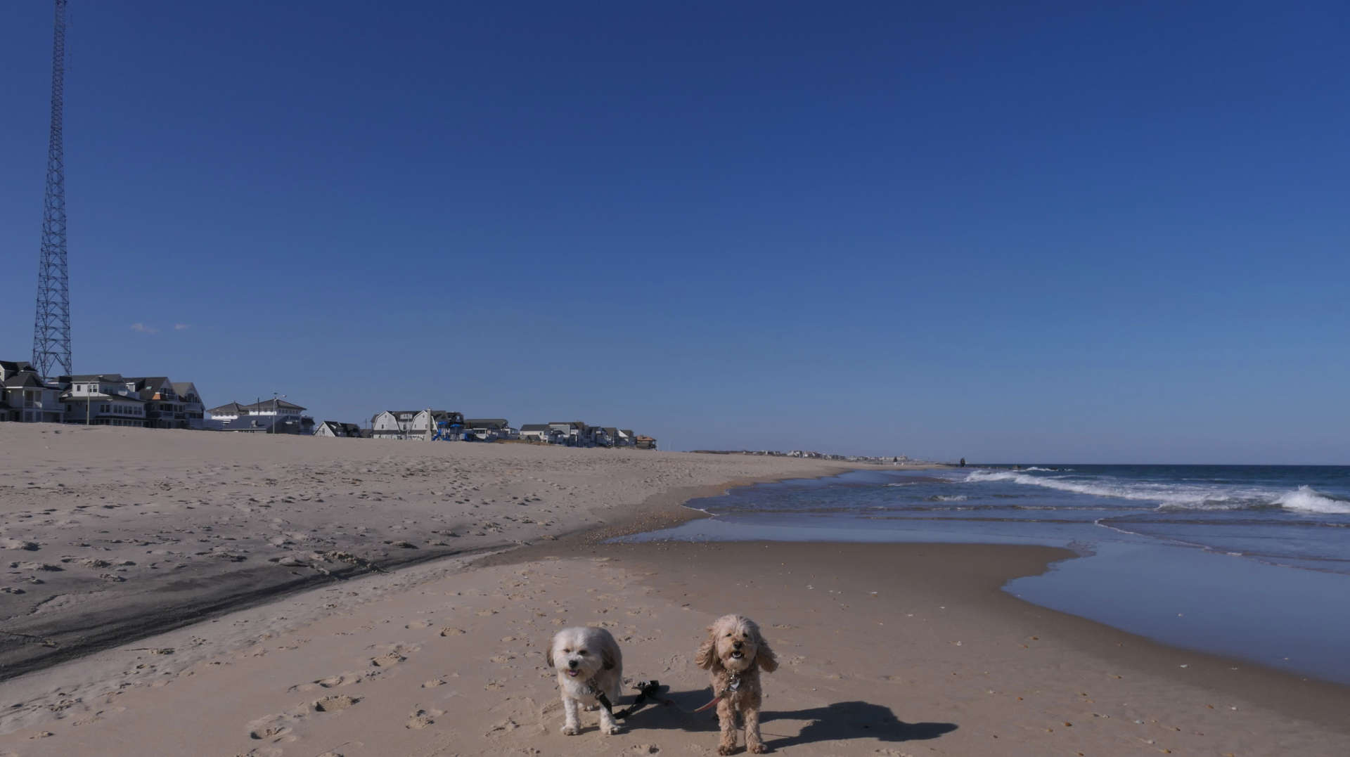 Manasquan7