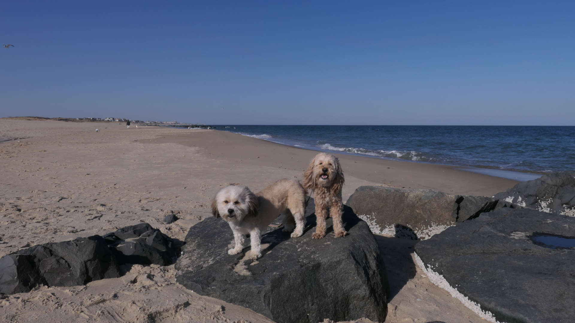 Manasquan8