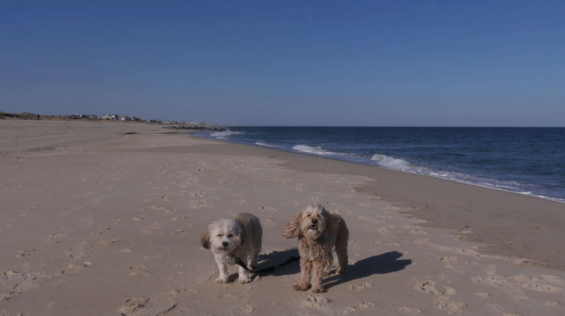 Manasquan9
