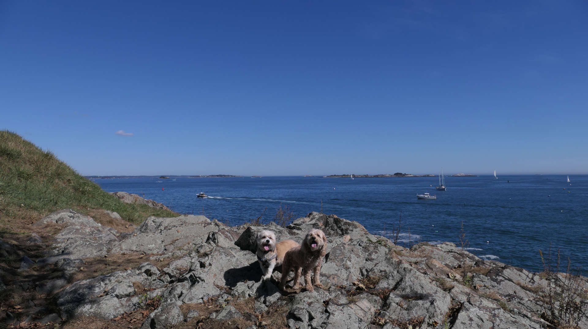 Marblehead12