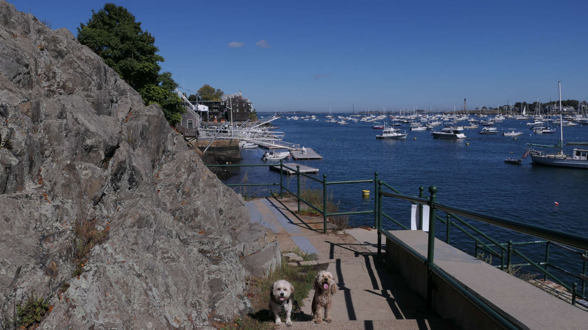 Marblehead48