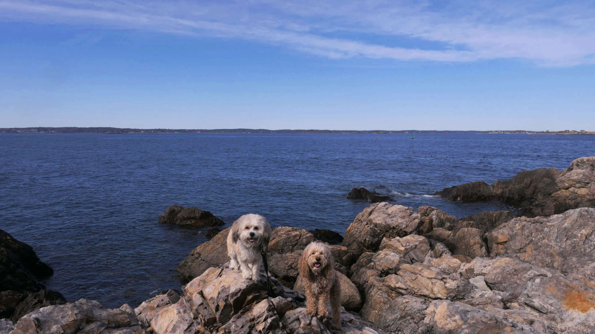 Marblehead59