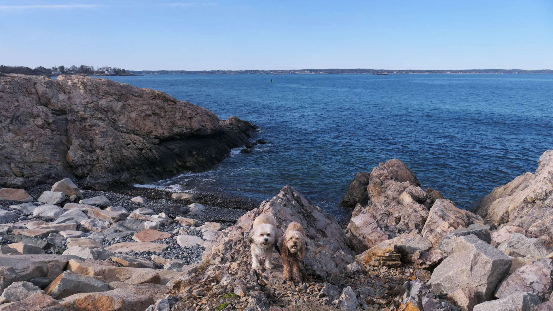Marblehead61