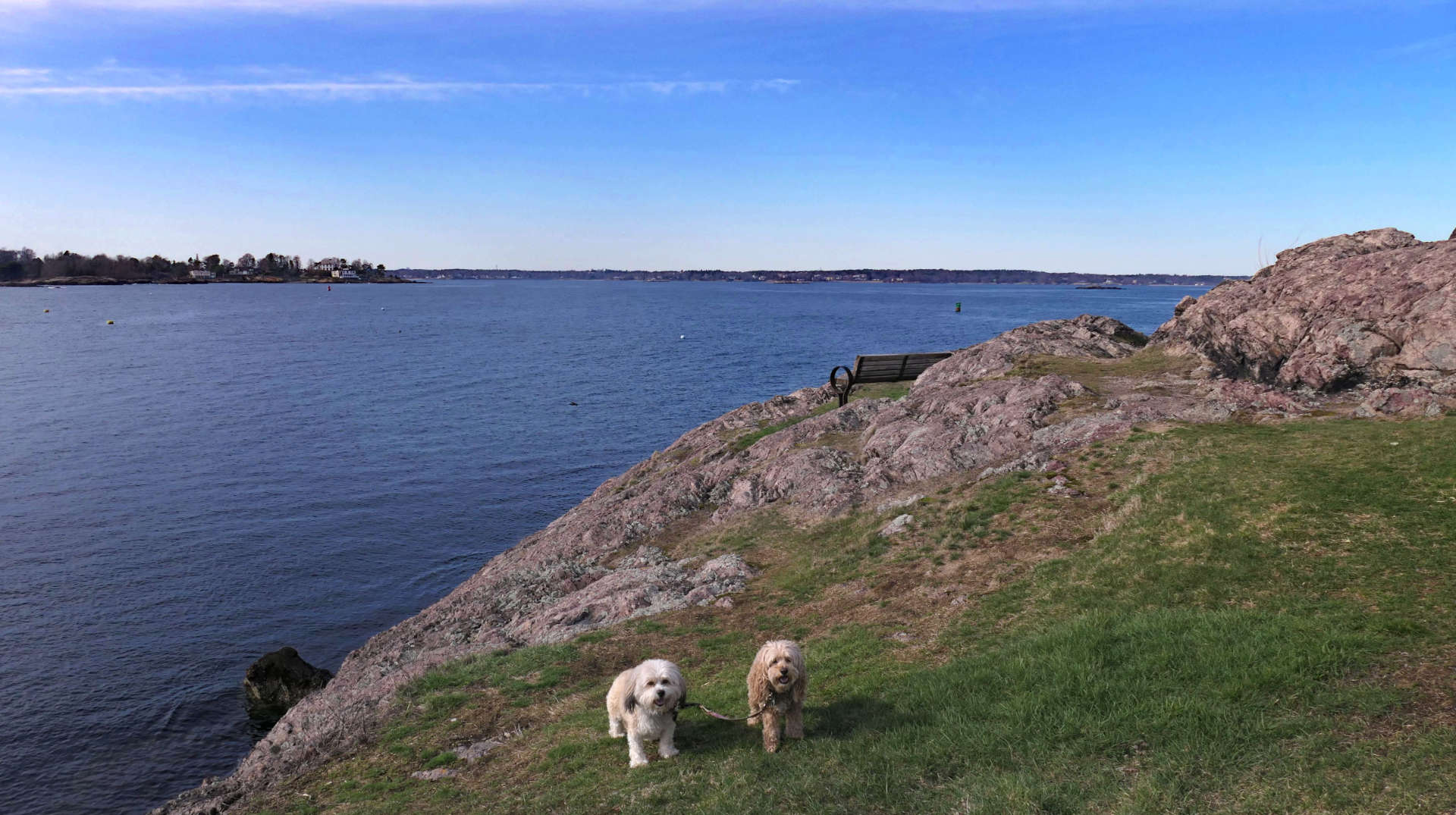 Marblehead64