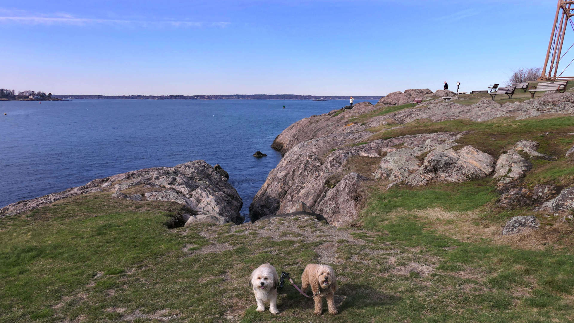 Marblehead65