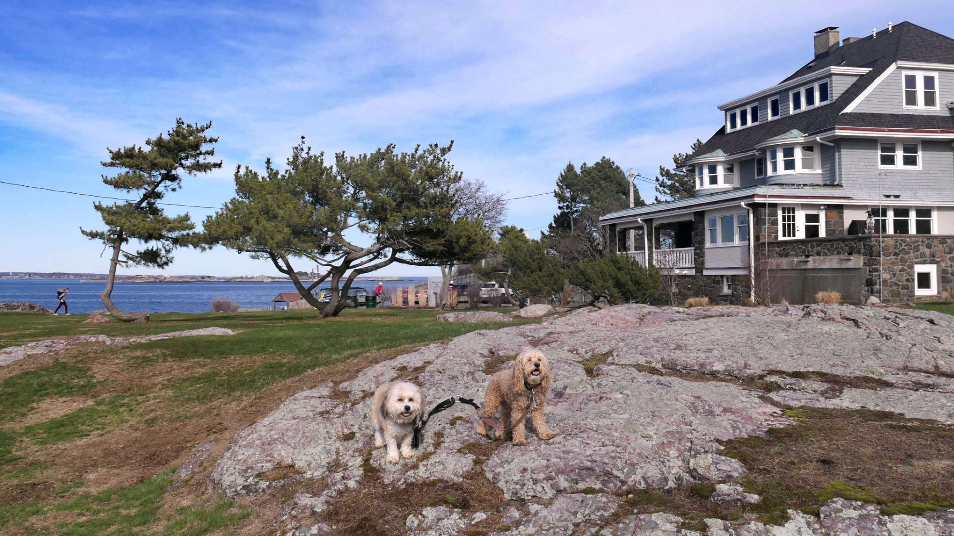 Marblehead67