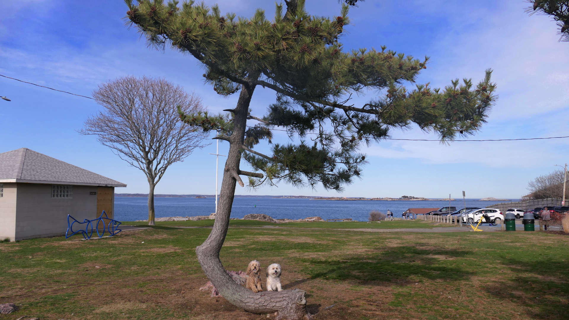 Marblehead68