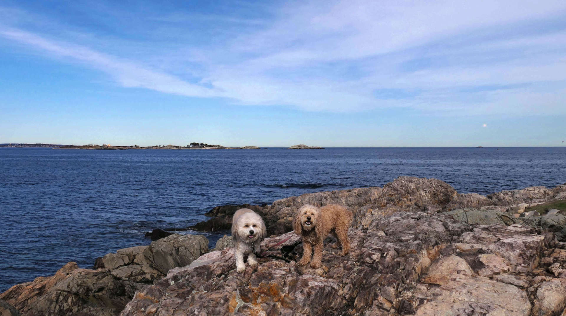 Marblehead69
