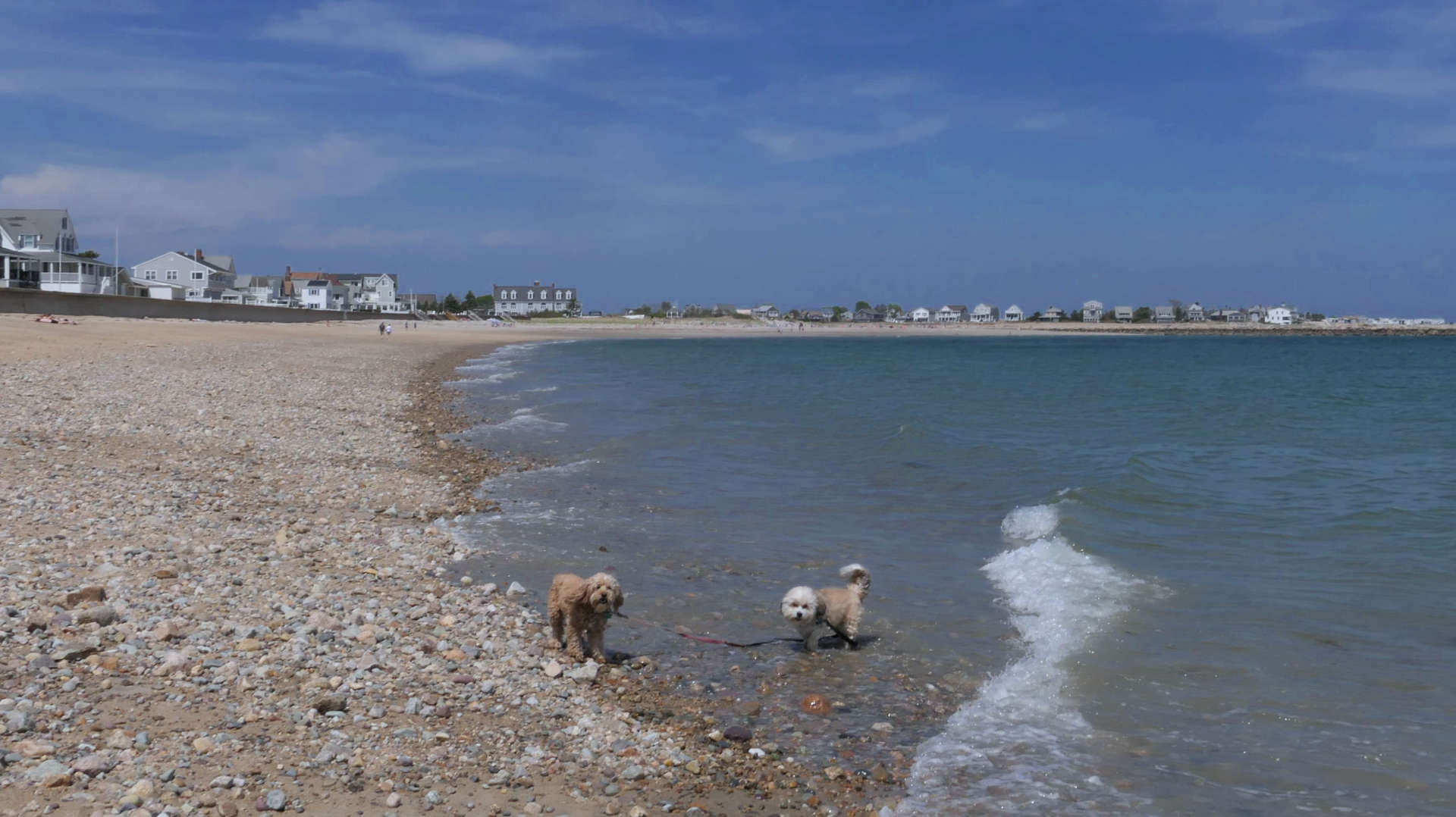 Marshfield17