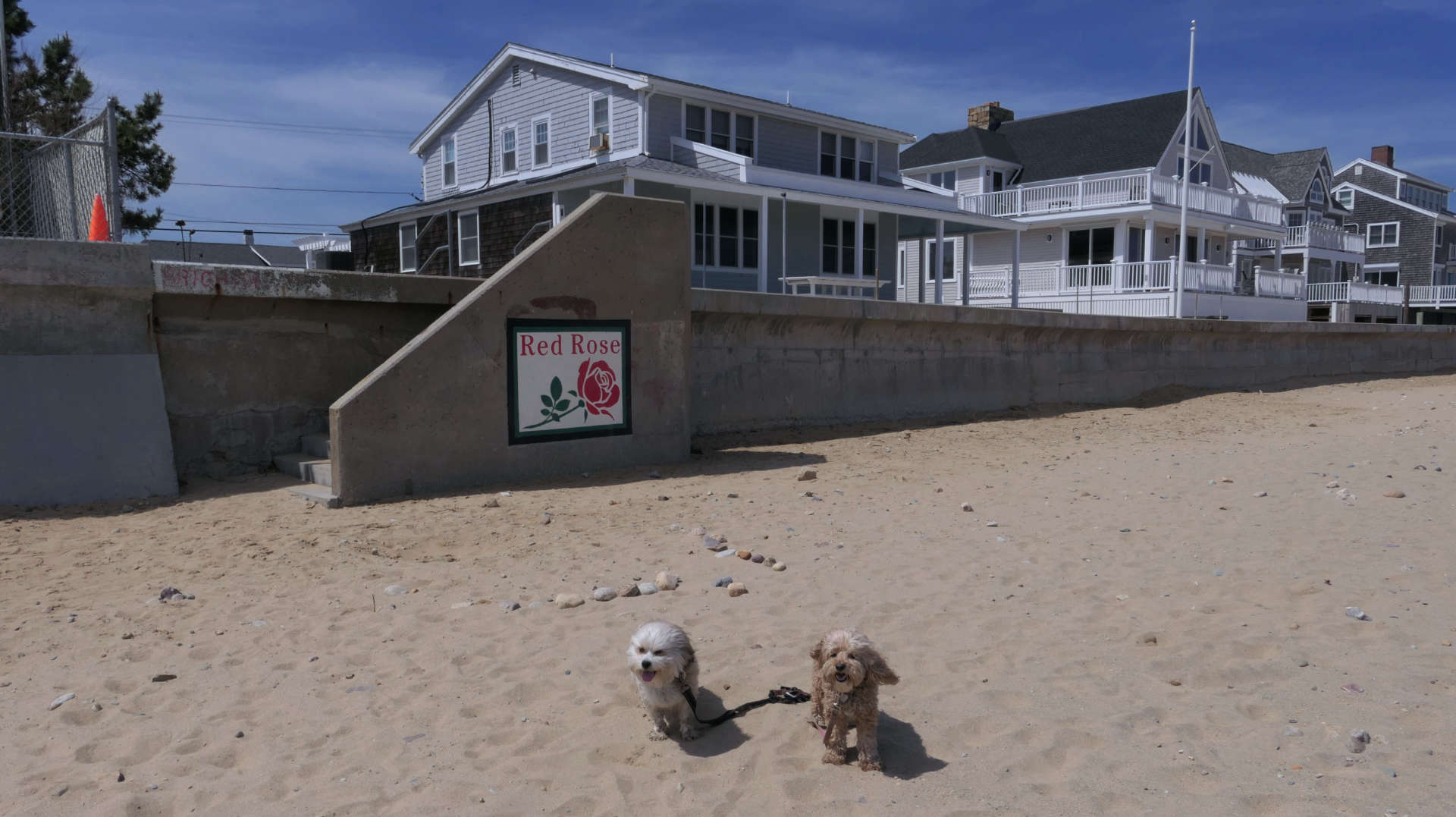 Marshfield18