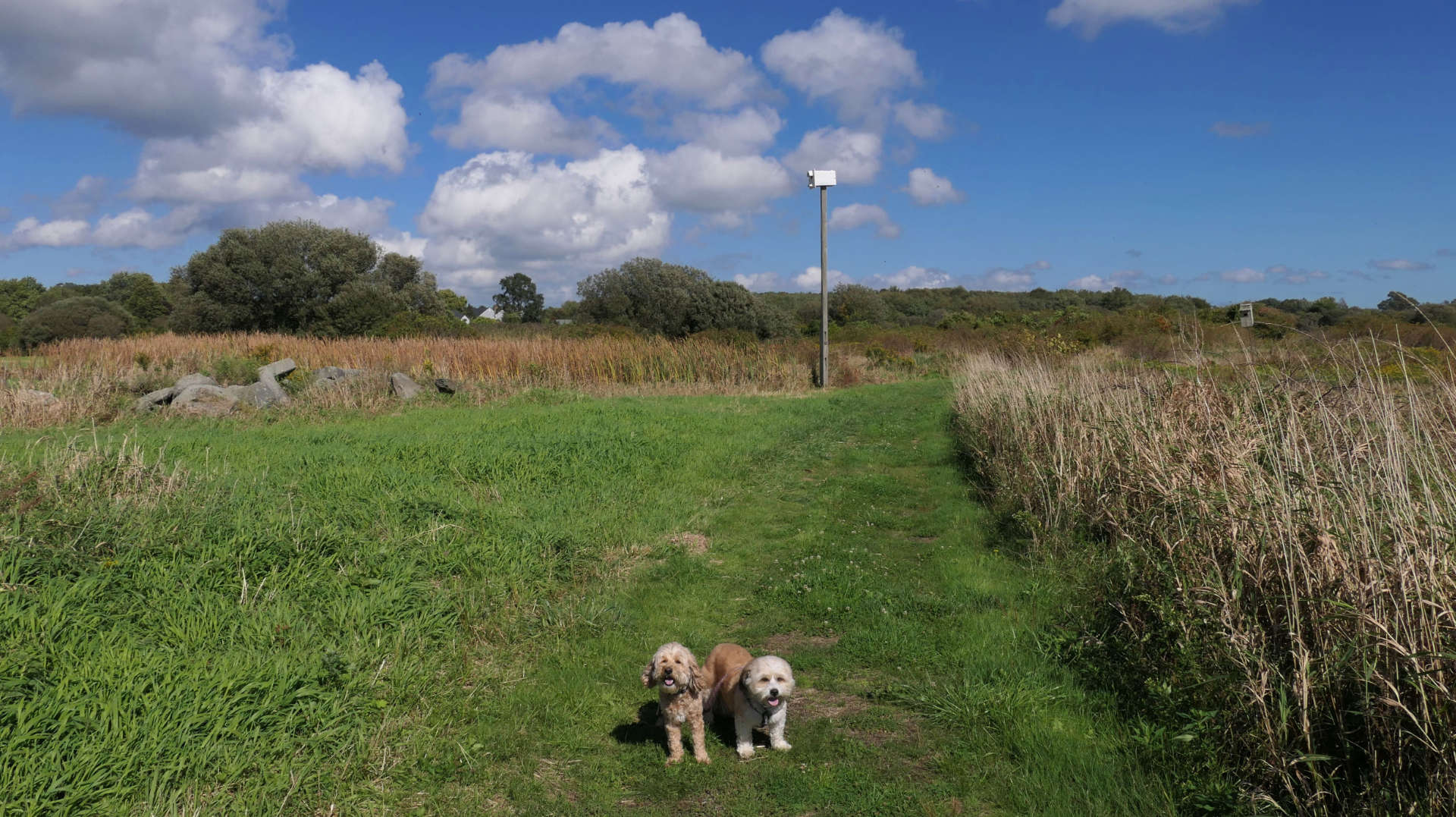 Sakonnet Greenway