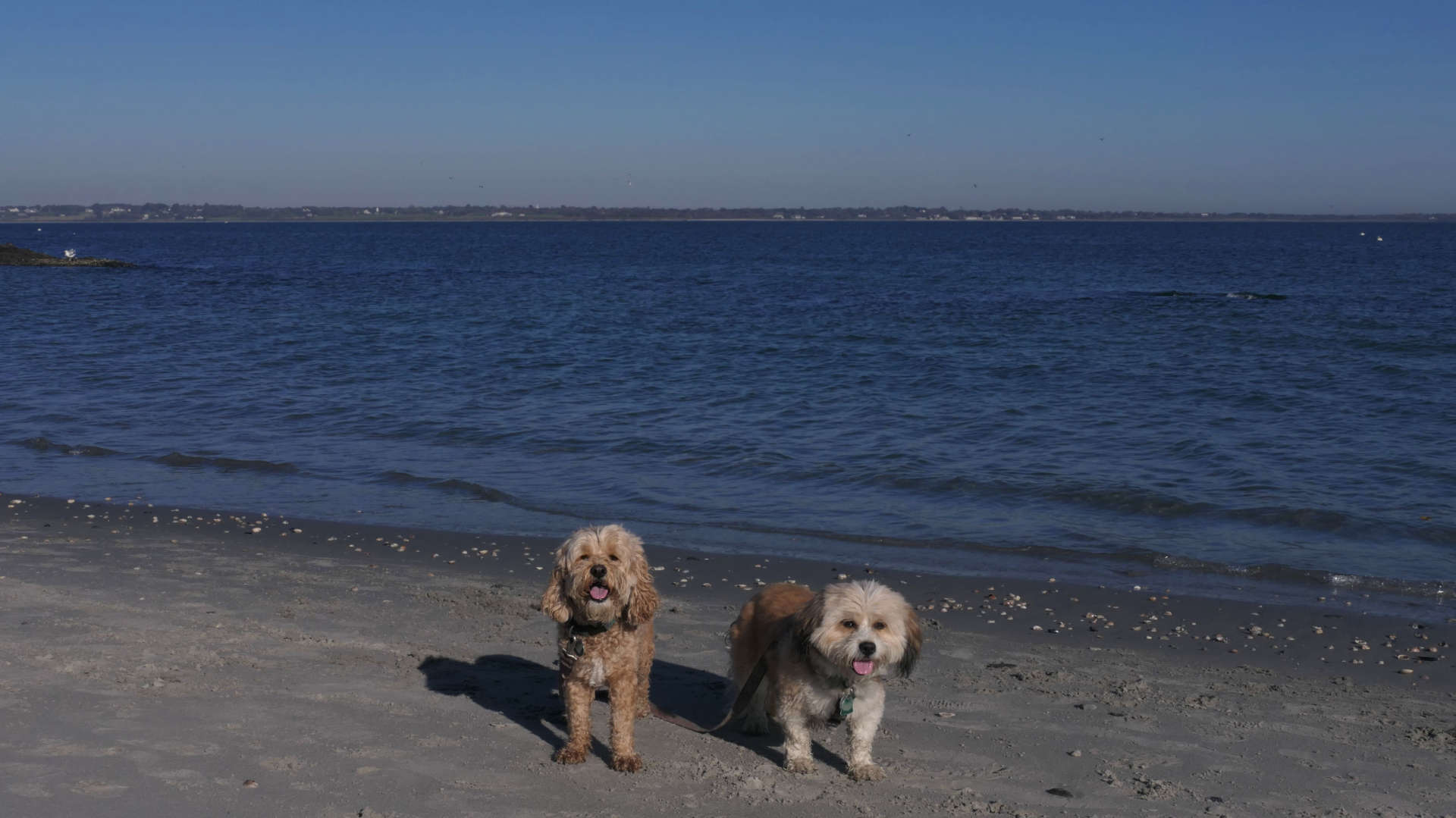 Third Beach