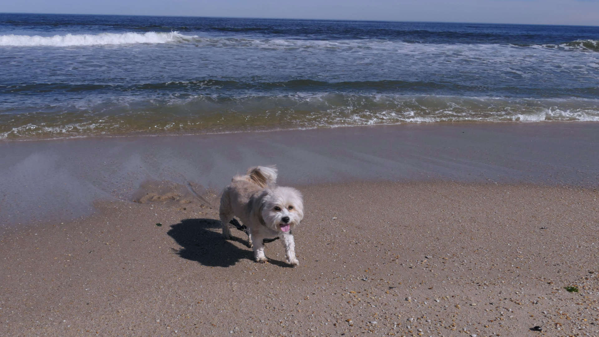 Monmouth_Beach11