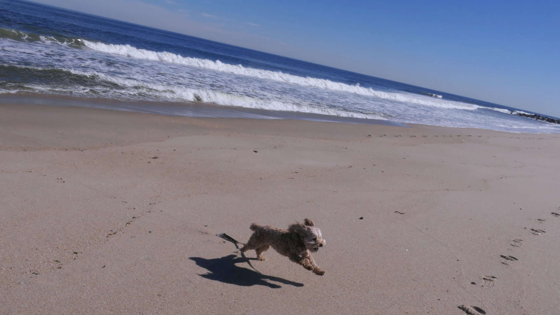 Monmouth_Beach12