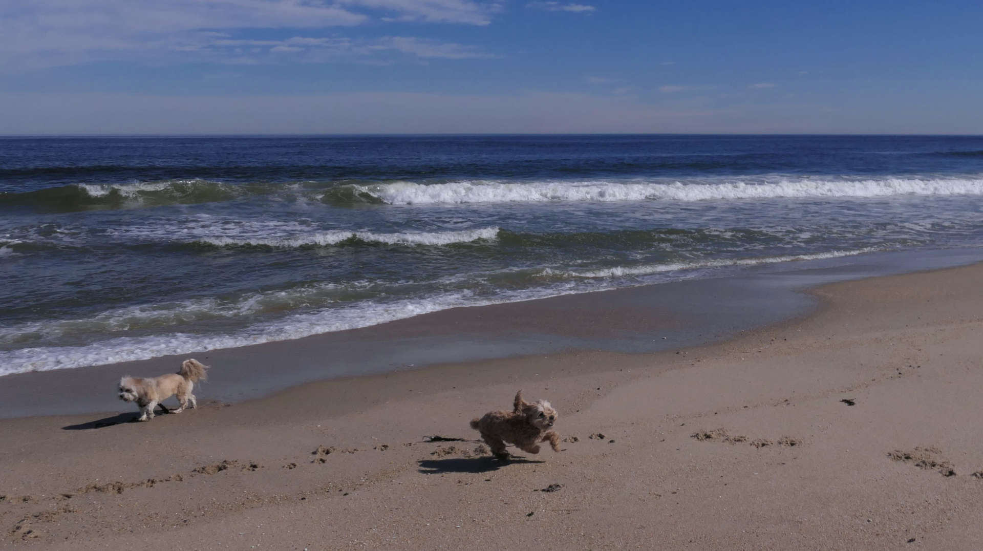 Monmouth_Beach13