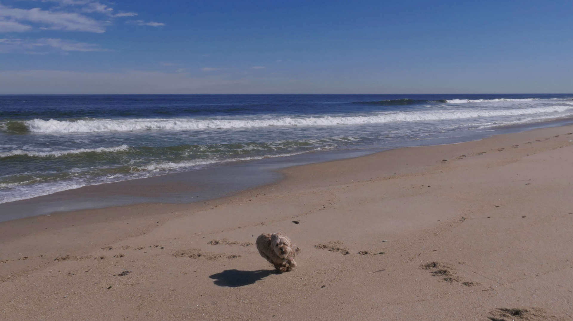 Monmouth_Beach14