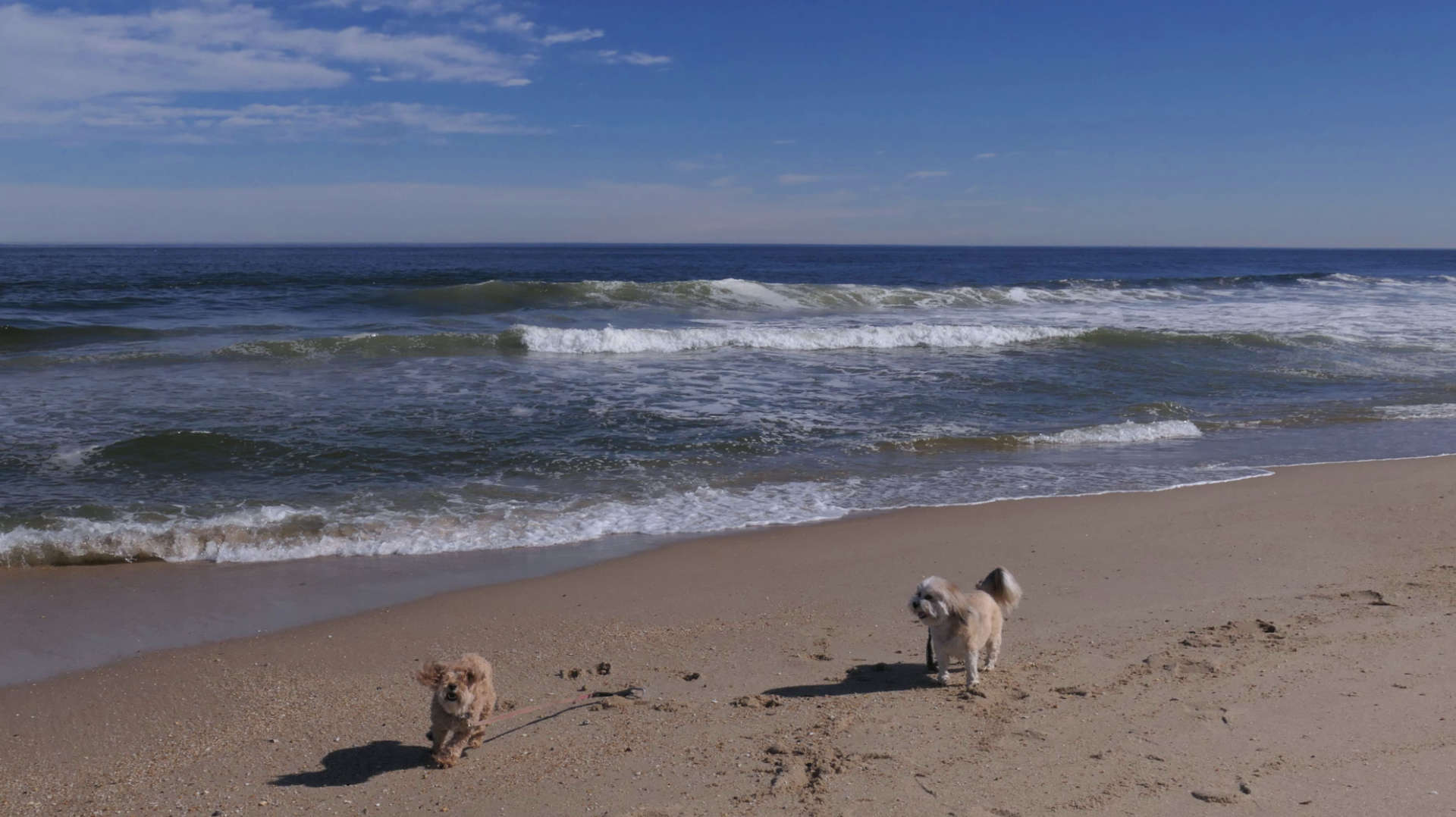 Monmouth_Beach15