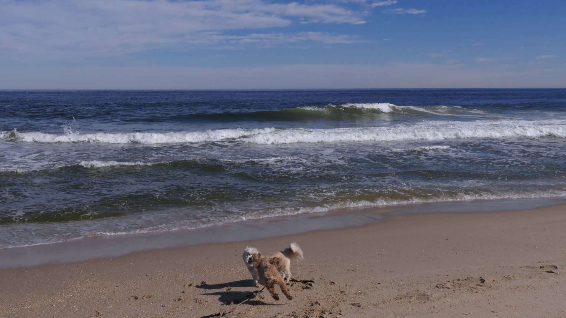 Monmouth_Beach16