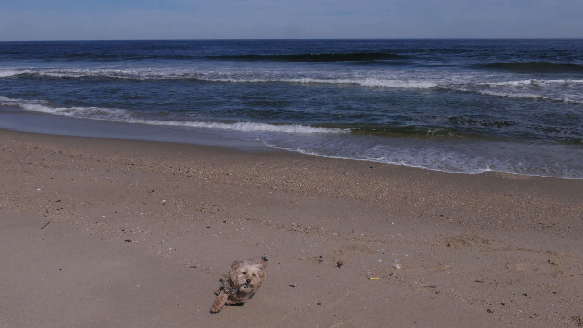 Monmouth_Beach17