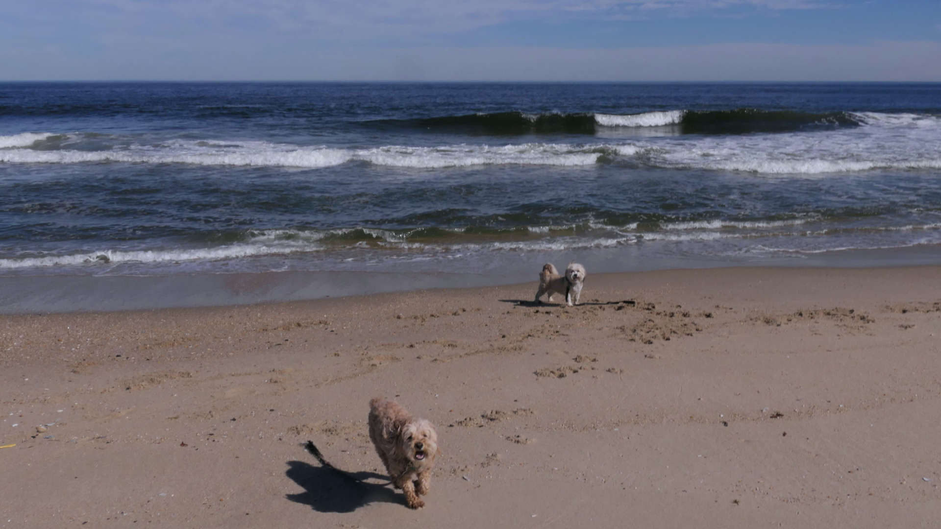 Monmouth_Beach19