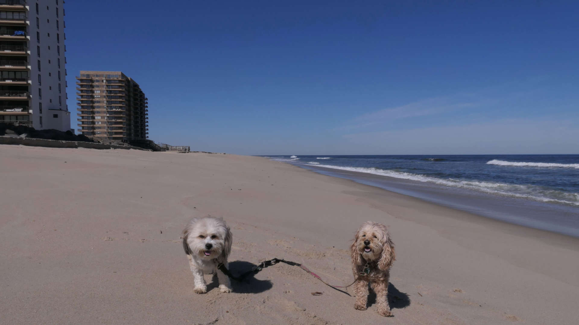 Monmouth_Beach2