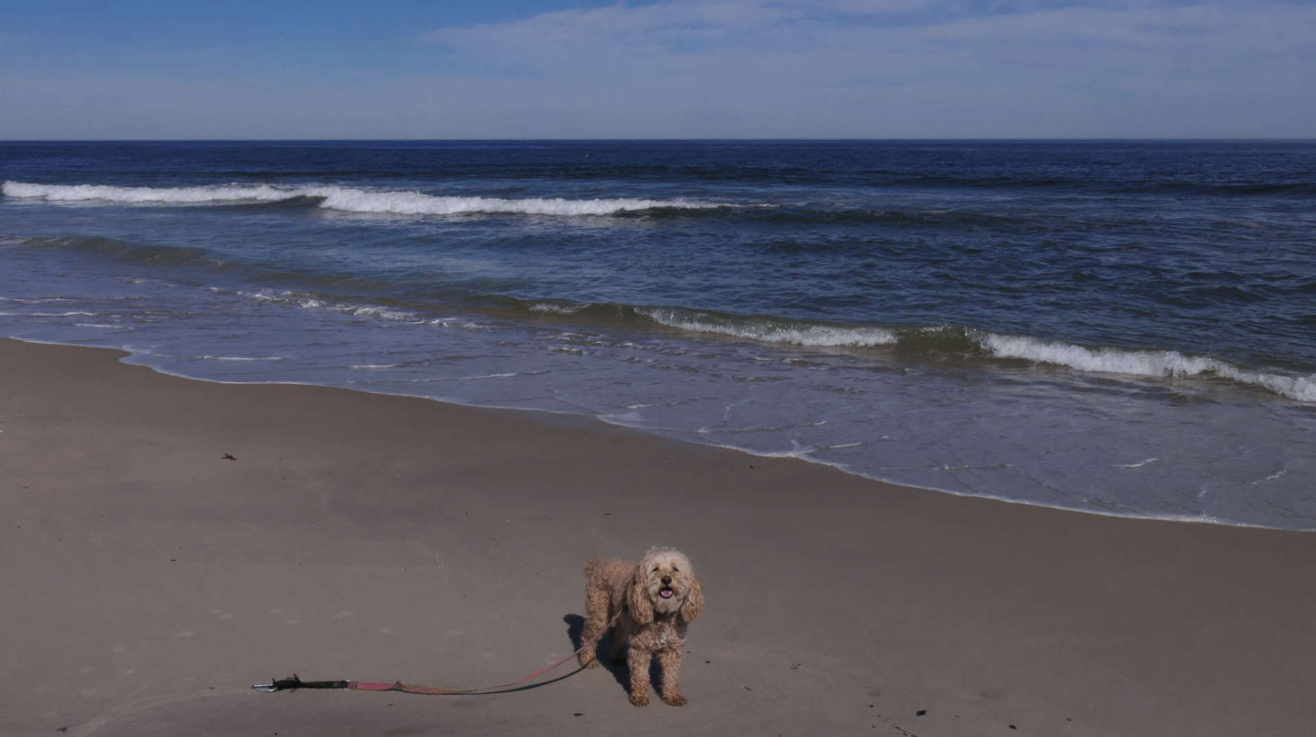 Monmouth_Beach20