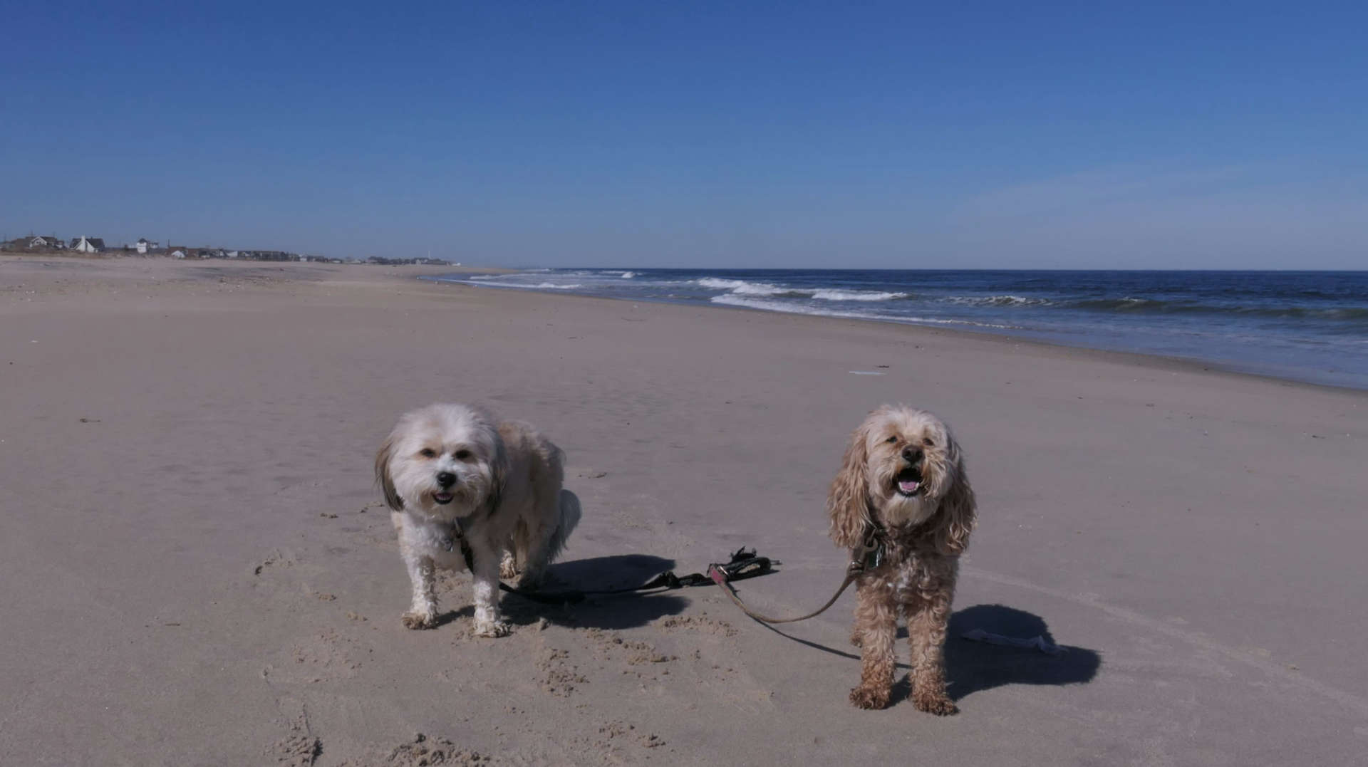 Monmouth_Beach21