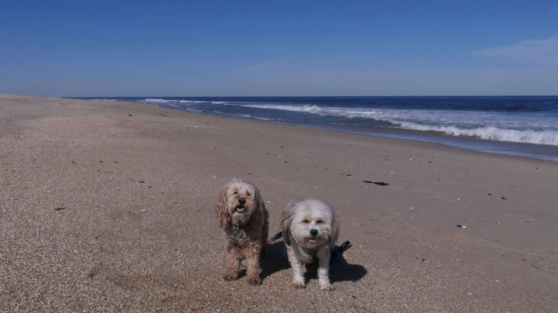 Monmouth_Beach22