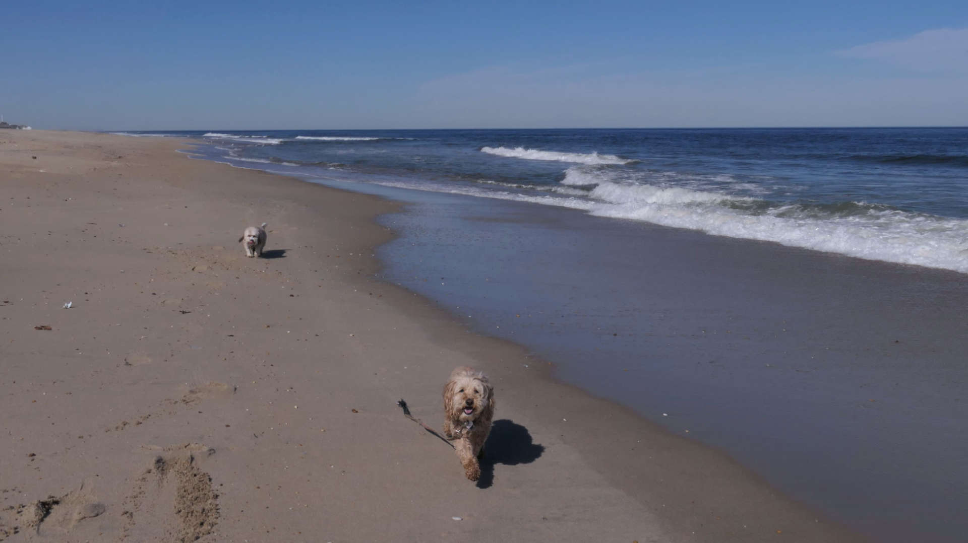 Monmouth_Beach23