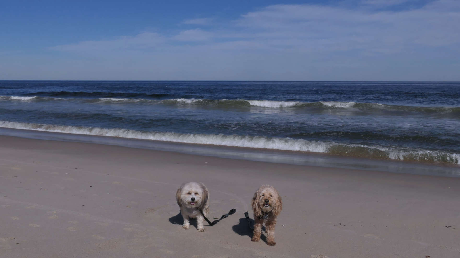 Monmouth_Beach24
