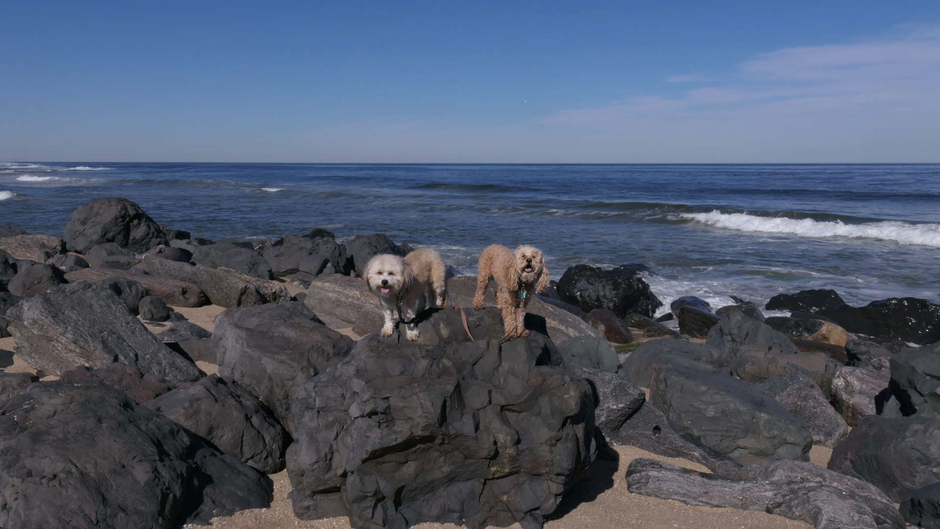 Monmouth_Beach25