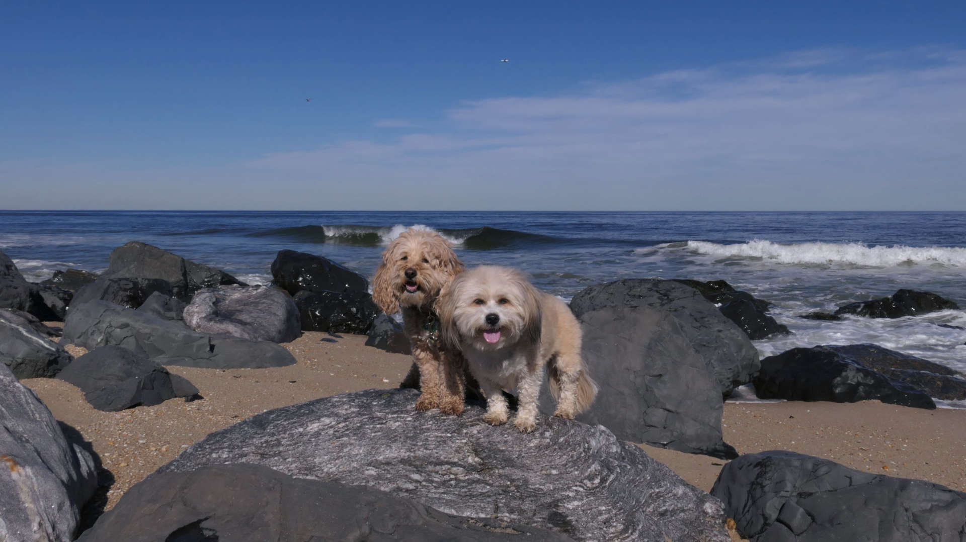 Monmouth_Beach26