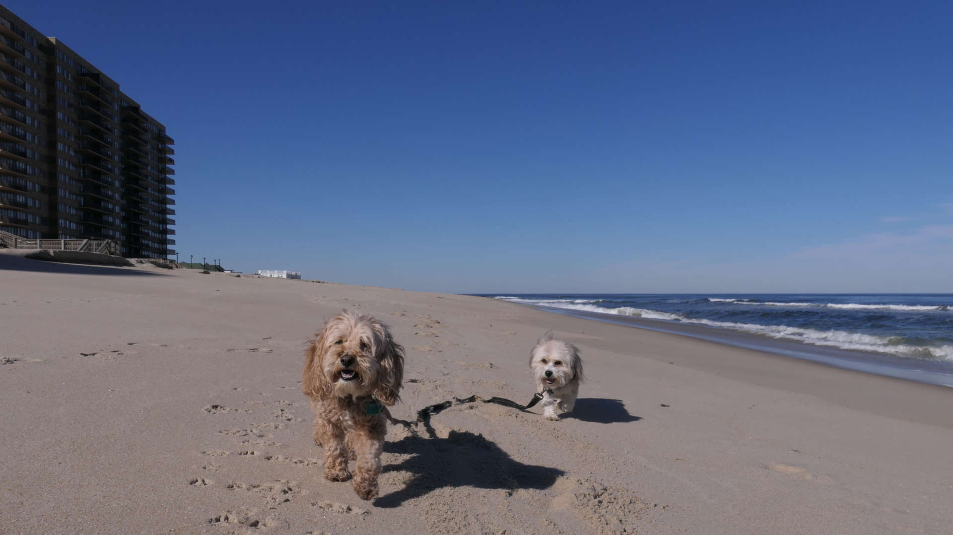 Monmouth_Beach27