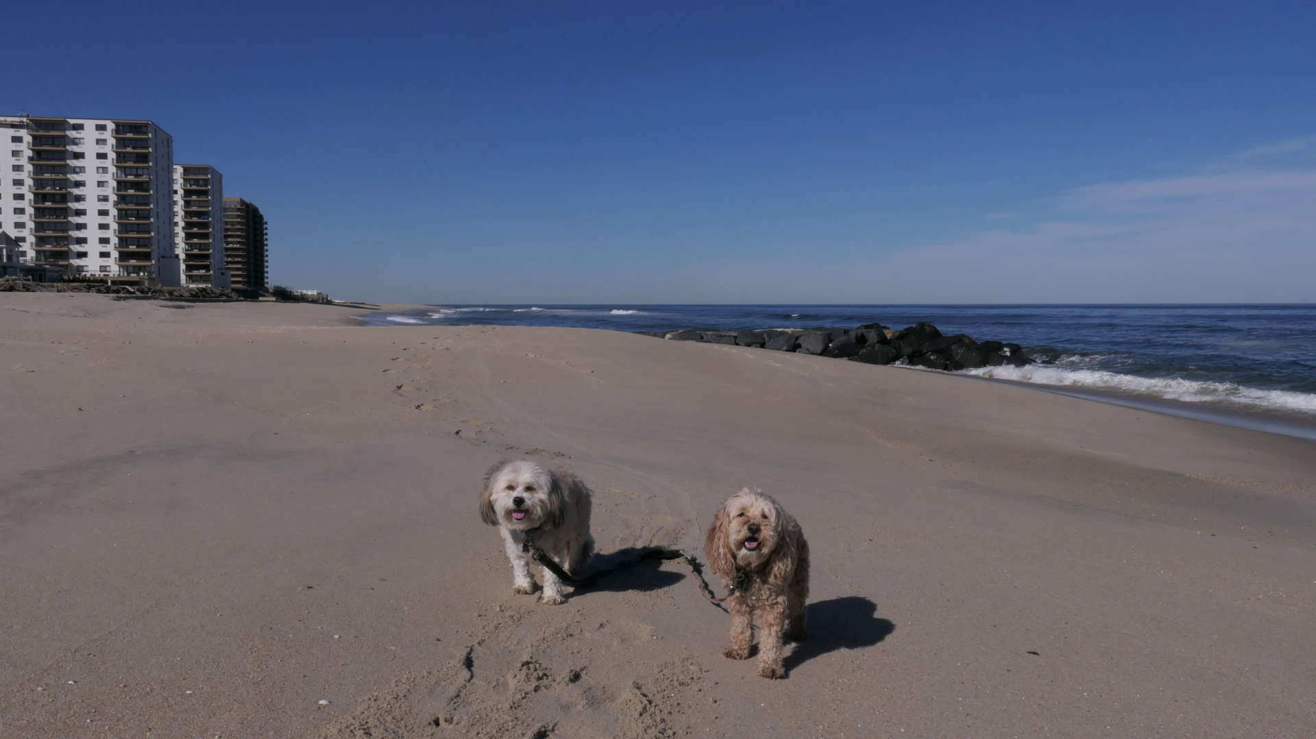 Monmouth_Beach29