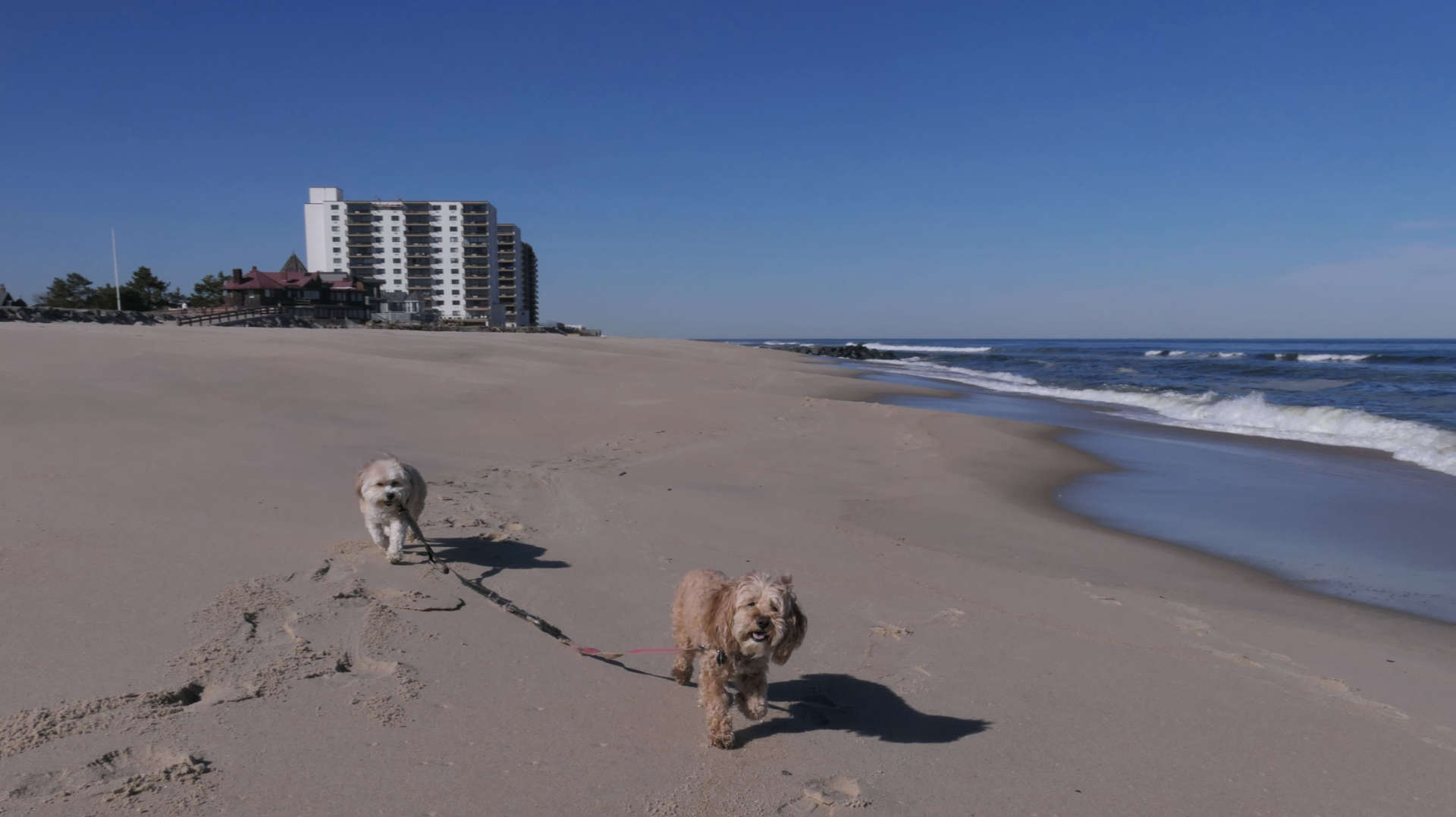 Monmouth_Beach3