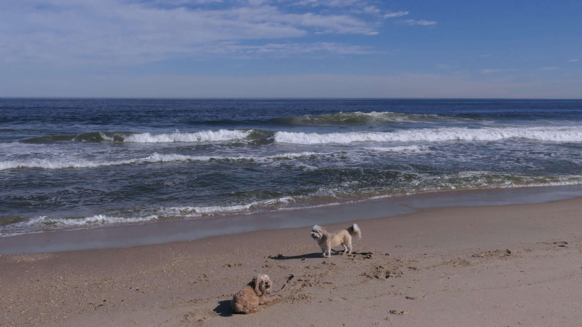 Monmouth_Beach33