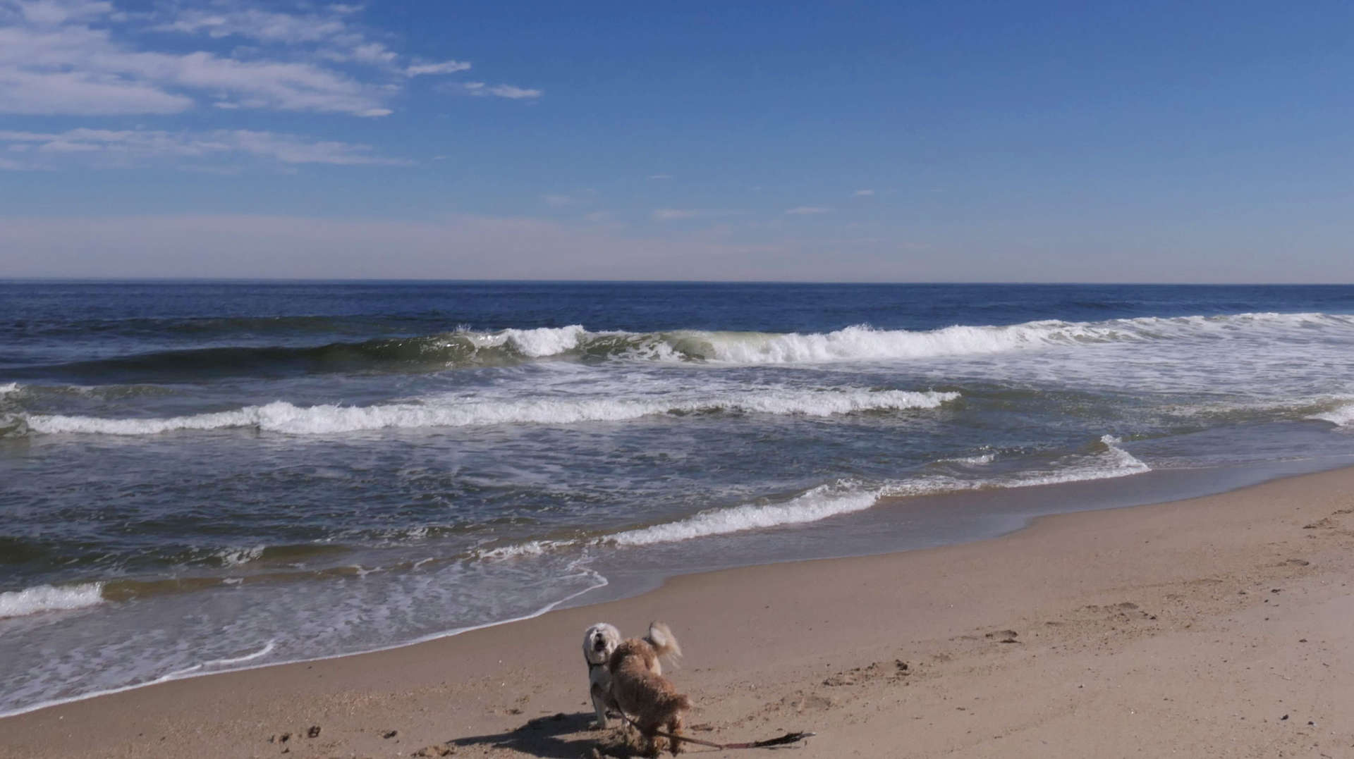 Monmouth_Beach34