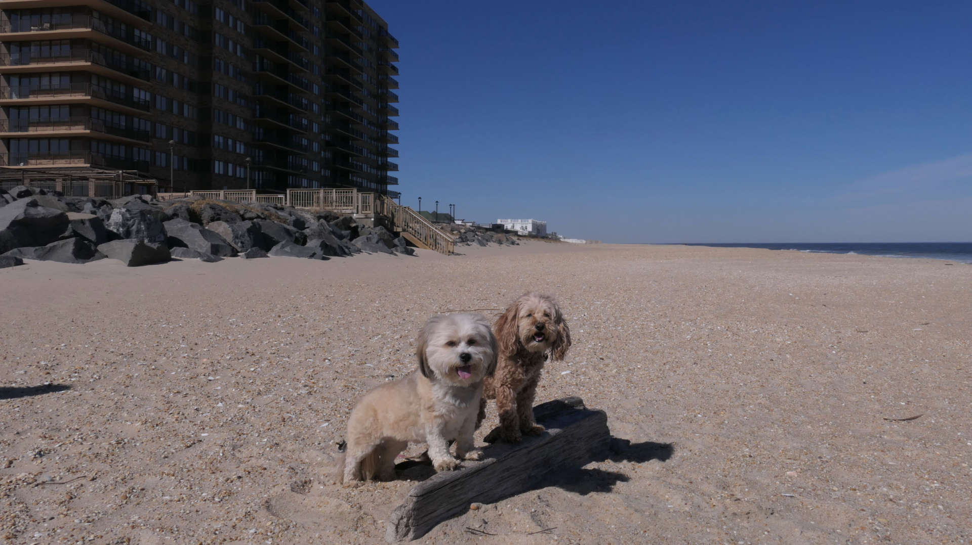 Monmouth_Beach4