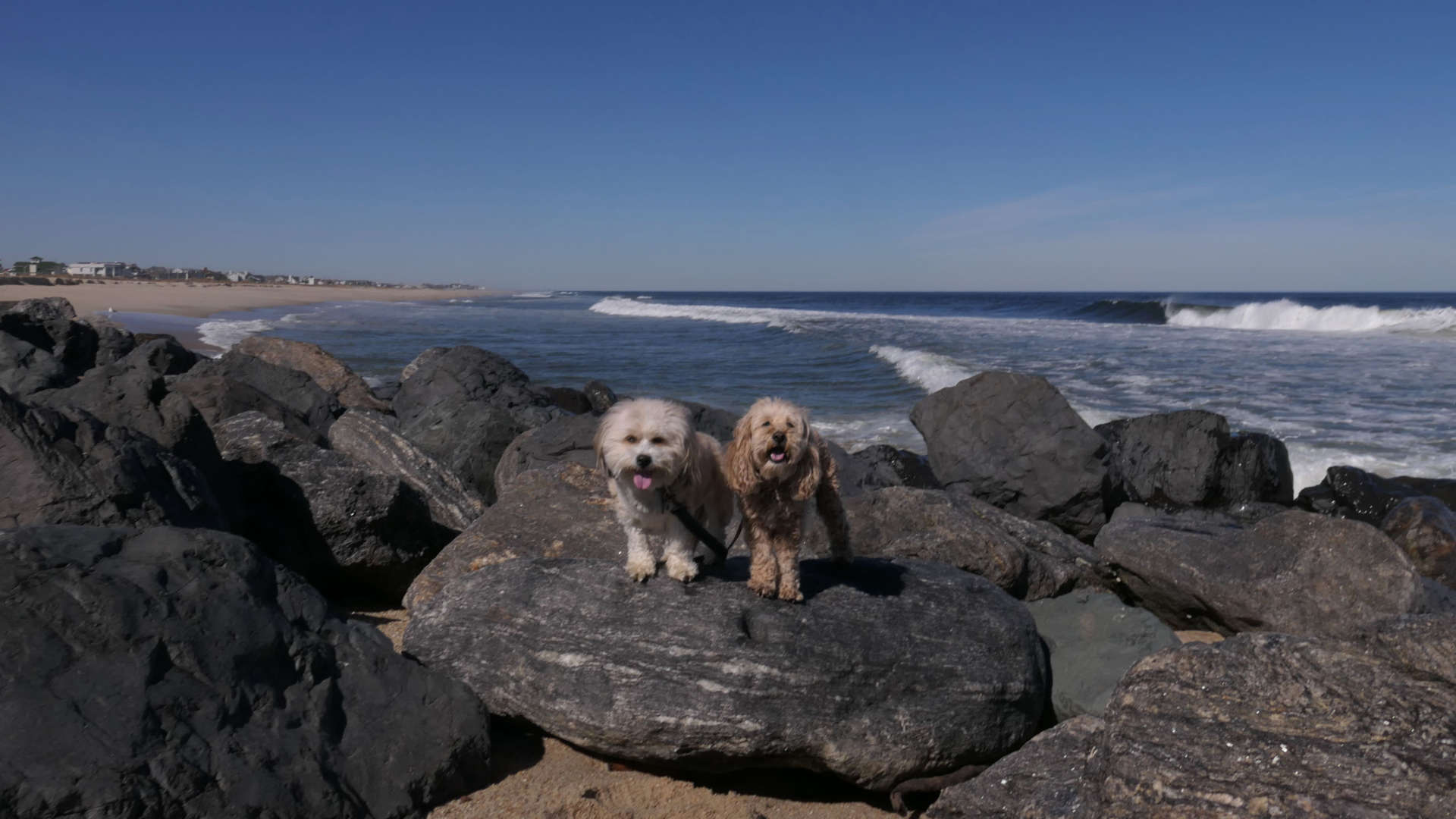 Monmouth_Beach6