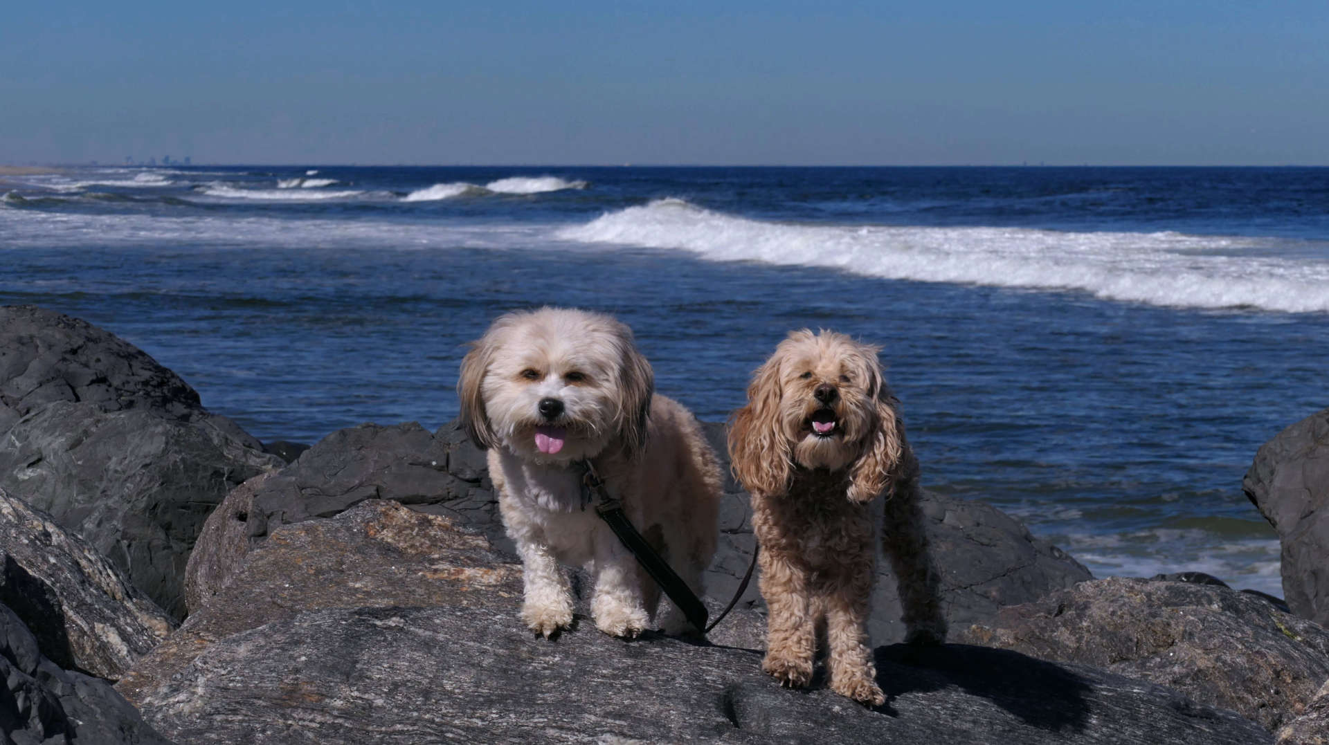 Monmouth_Beach7