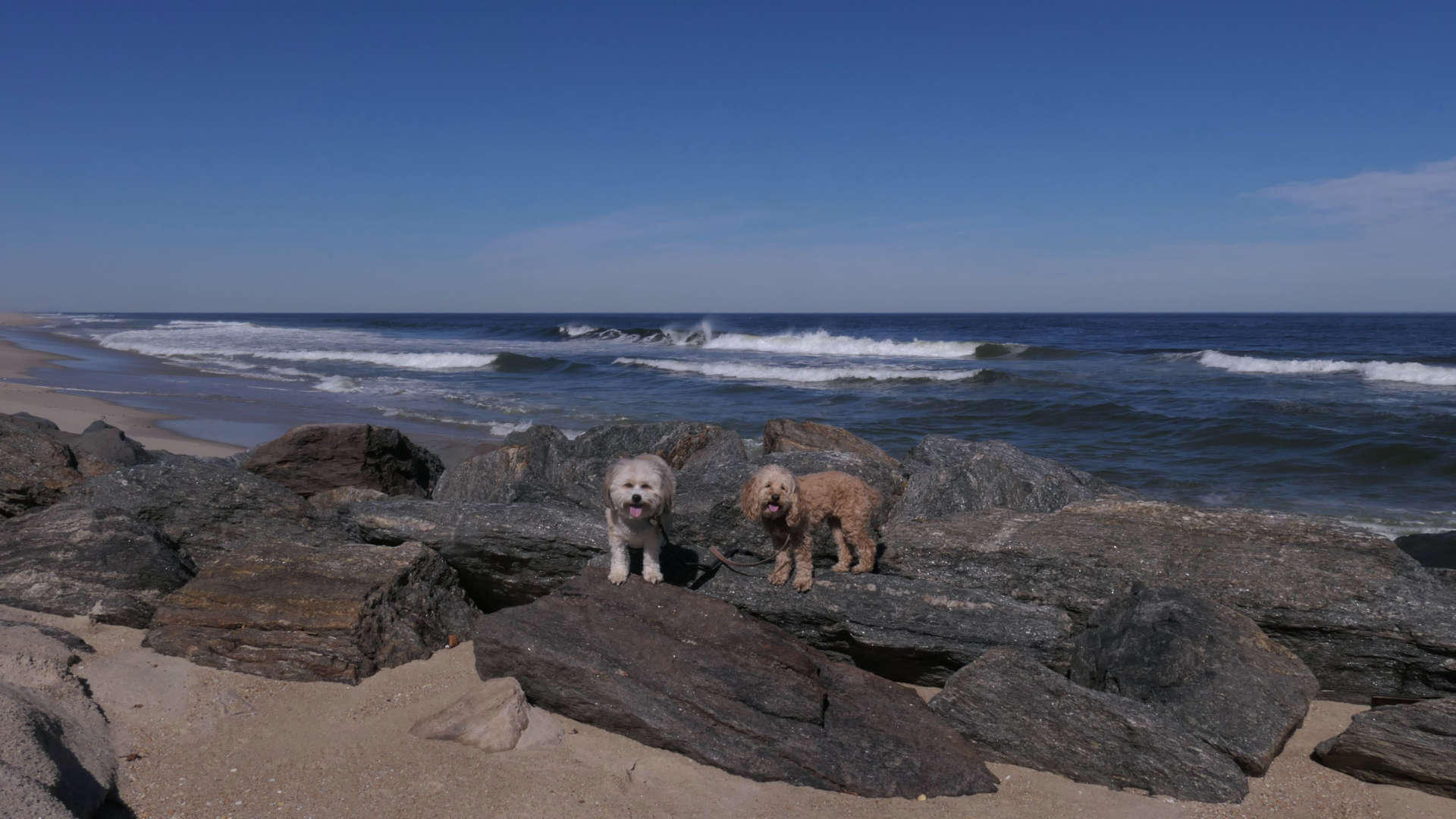 Monmouth_Beach8
