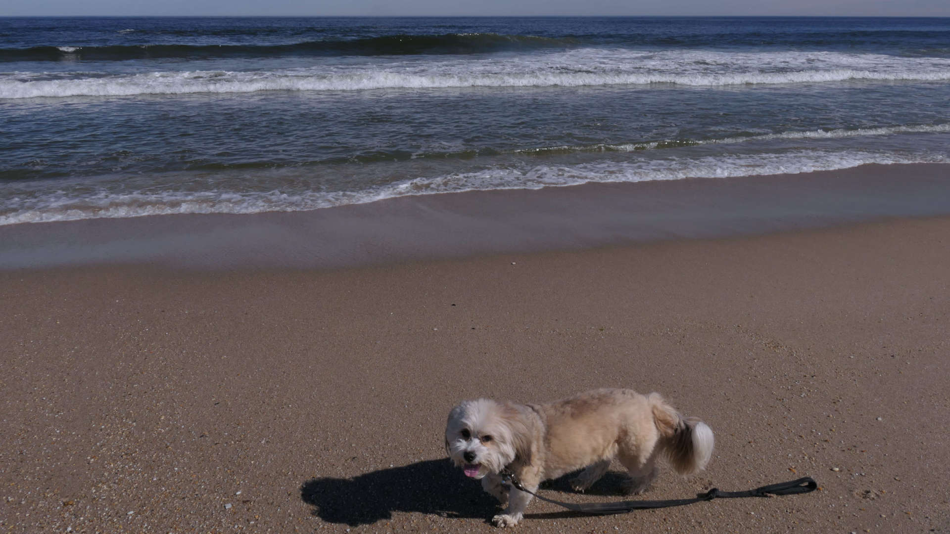 Monmouth_Beach9
