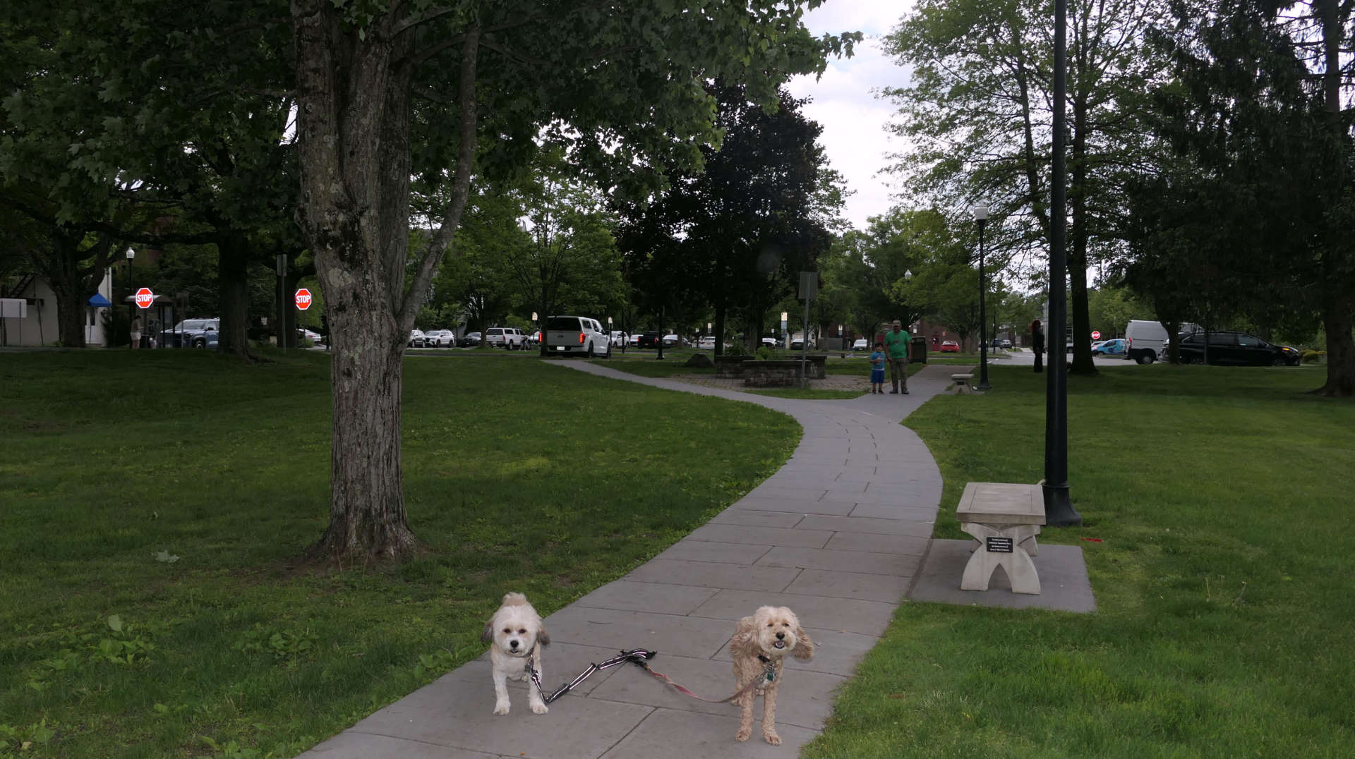Mount_Kisco10