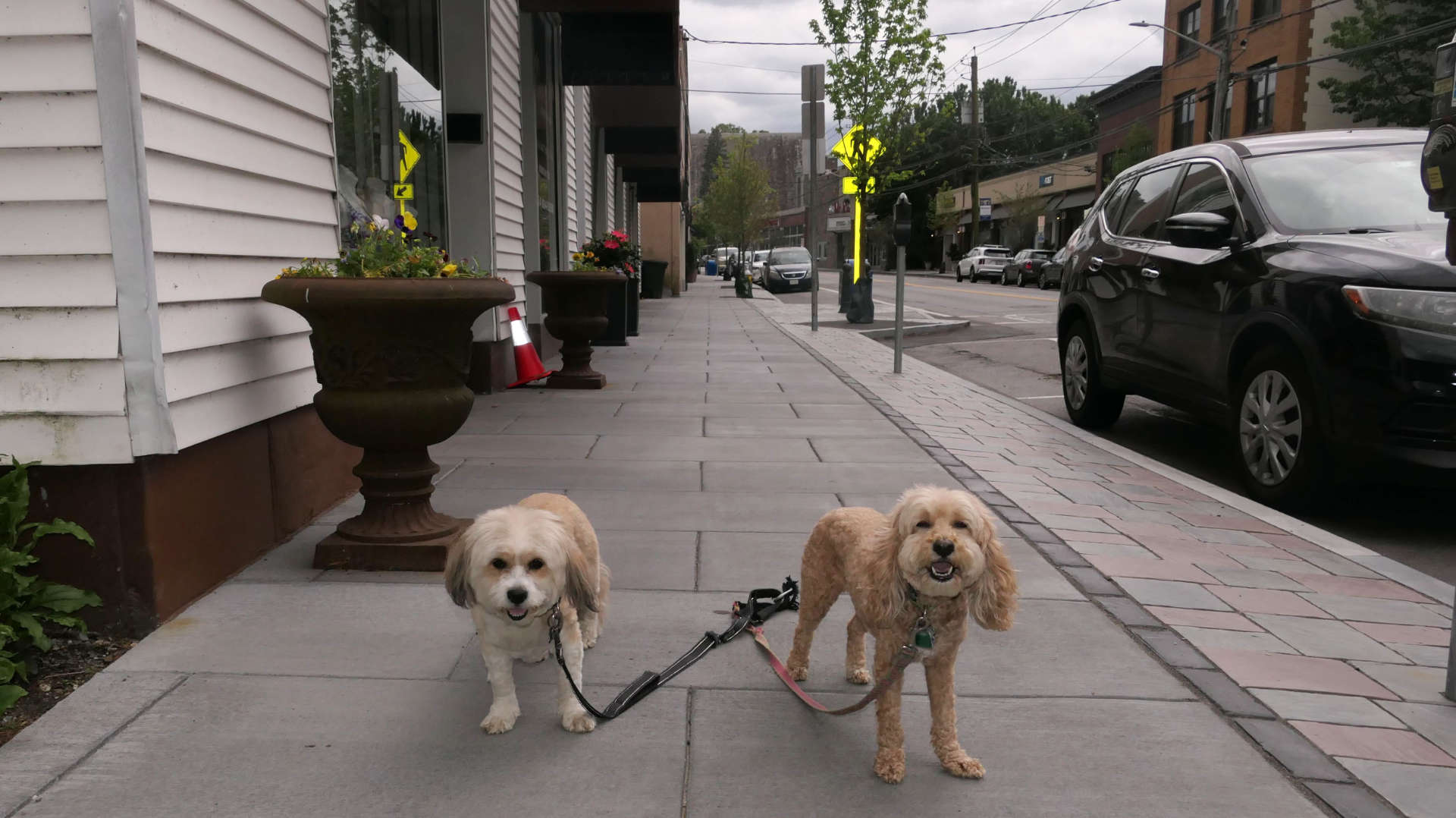 Mount_Kisco14