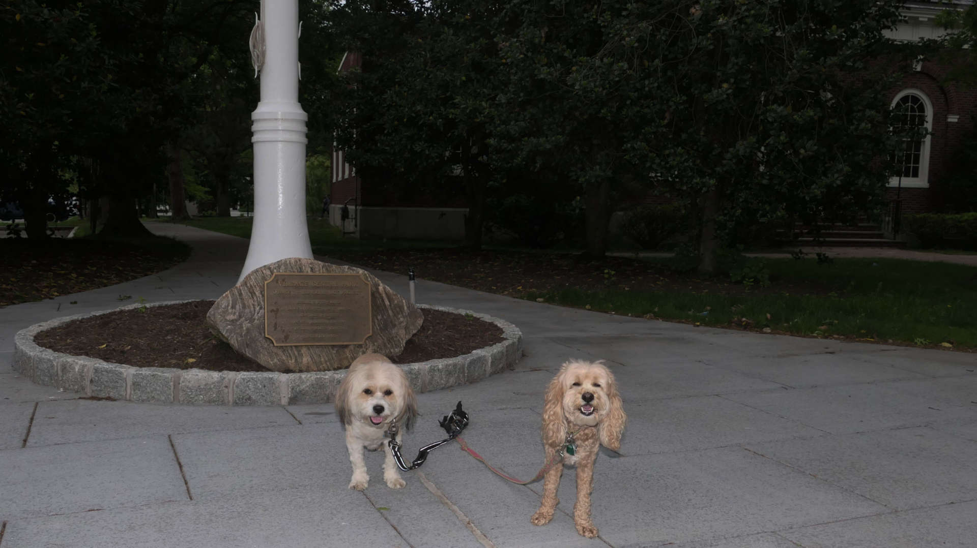 Mount_Kisco16