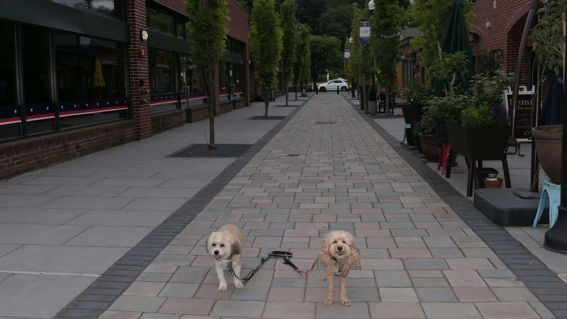 Mount_Kisco19