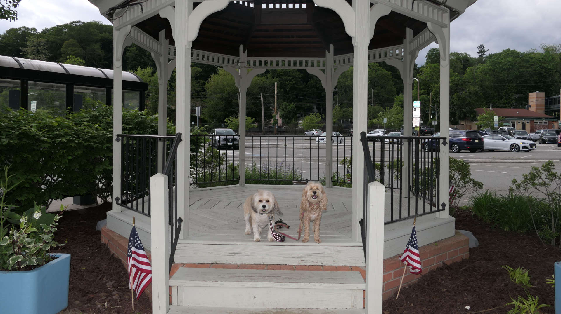 Mount_Kisco7
